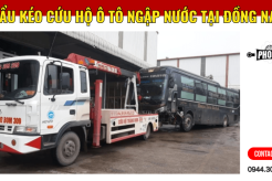 Dịch vụ cẩu kéo chuyên chở cứu hộ xe ô tô ngập nước tại Đồng Nai